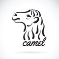 Vector of camel head