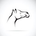 Vector of a camel head on white background. Animals. Royalty Free Stock Photo