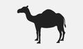 Vector Camel silhouette.
