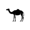 Vector camel silhouette view side for retro logos, emblems, badges, labels template vintage design element. Isolated on white