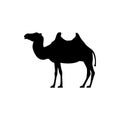 Vector camel silhouette view side for retro logos, emblems, badges, labels template vintage design element. Isolated on white Royalty Free Stock Photo