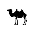 Vector camel silhouette view side for retro logos, emblems, badges, labels template vintage design element. Isolated on white Royalty Free Stock Photo