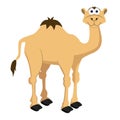 Vector camel for your ideas