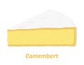 Vector camembert cheese triangle piece. Slice, chunk in cartoon flat style