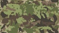 Vector camouflage pattern - forest camo Royalty Free Stock Photo