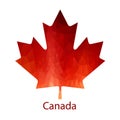 Vector Canadian Maple Leaf Icon.