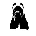 Italian Cane Corso dog logo Royalty Free Stock Photo