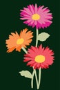 Vector card of bouquet garden gerberas Royalty Free Stock Photo