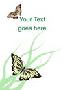 Vector card with butterflies and grass