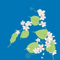 Vector card of decorative flowering twig of cherry tree