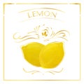 Vector card with lemon in vintage style. Stylized drawing with golden lines on white background