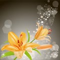 Vector card: orange lilies