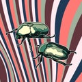 Vector card with scarab beetles. Royalty Free Stock Photo