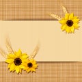 Vector card with sunflowers and ears of wheat on a sacking background