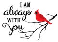 Vector Cardinal Bird, I am always with you.