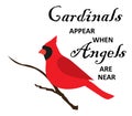 Vector Cardinals Appear when Angels are Near.