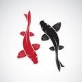 Vector of carp koi fish isolated on white background. Pet Animal. Royalty Free Stock Photo