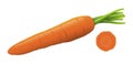 Vector Carrot