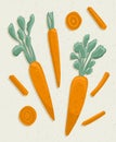 Vector carrot cartoon illustration with textures. Healthy organic carrots with leaves and carrot slices. Royalty Free Stock Photo