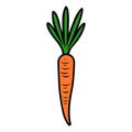 vector carrot icon on white background
