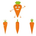 Vector carrot illustration. Healthy food, vegetable ingredients.