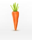 Vector carrot isolated on a white background