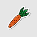 Vector carrot sticker in cartoon style. Isolated vegetable with shadow. Flat simple icon with black lines