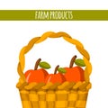 Vector cartoon apple basket illustration