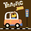 Vector cartoon of bear driving car in traffic jam