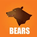 Vector cartoon bear. grizzle icon. bear muzzle