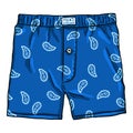 Vector Cartoon Blue Male Underwear with Pattern