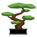 Cartoon Bonsai Isolated On White Background