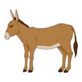Vector Cartoon Brown Donkey