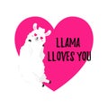 Vector cartoon card. Sweet llama. Doodle illustration. Template, background for print, design. Romantic greetings Happy