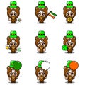 St Patricks Bear Animal Bundle Set
