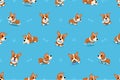 Vector cartoon character corgi dog seamless pattern