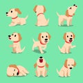 Vector cartoon character labrador dog poses