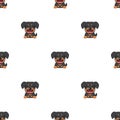 Vector cartoon character rottweiler dog seamless pattern background