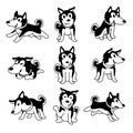 Vector cartoon character siberian husky dog poses set Royalty Free Stock Photo