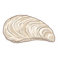 Vector Cartoon Closed Mussel Illustration