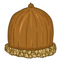 Vector Cartoon Color Illustration - Acorn