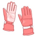 Vector Cartoon Color illustration - Pink Gloves for Extremal Winter Sports