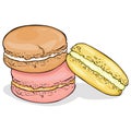 Vector Cartoon Color Macarons