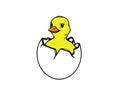 Vector cartoon cute baby chicken characters. Yellow small funny newborn chicks hatching, sitting in egg. Flat bird animal.