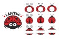 Vector cartoon cute black polka dot red ladybug Isolated on background Royalty Free Stock Photo