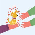 Dog face. Pet adoption. Puppy pooch looking up to human hand, paw print hug. Royalty Free Stock Photo