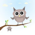 Vector cartoon cute little owl bird on tree branch Royalty Free Stock Photo