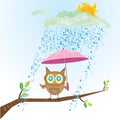 Vector cartoon cute little owl bird on tree branch Royalty Free Stock Photo