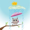 Vector cartoon cute little owl bird on tree branch Royalty Free Stock Photo