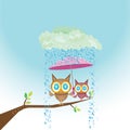 Vector cartoon cute little owl bird on tree branch Royalty Free Stock Photo